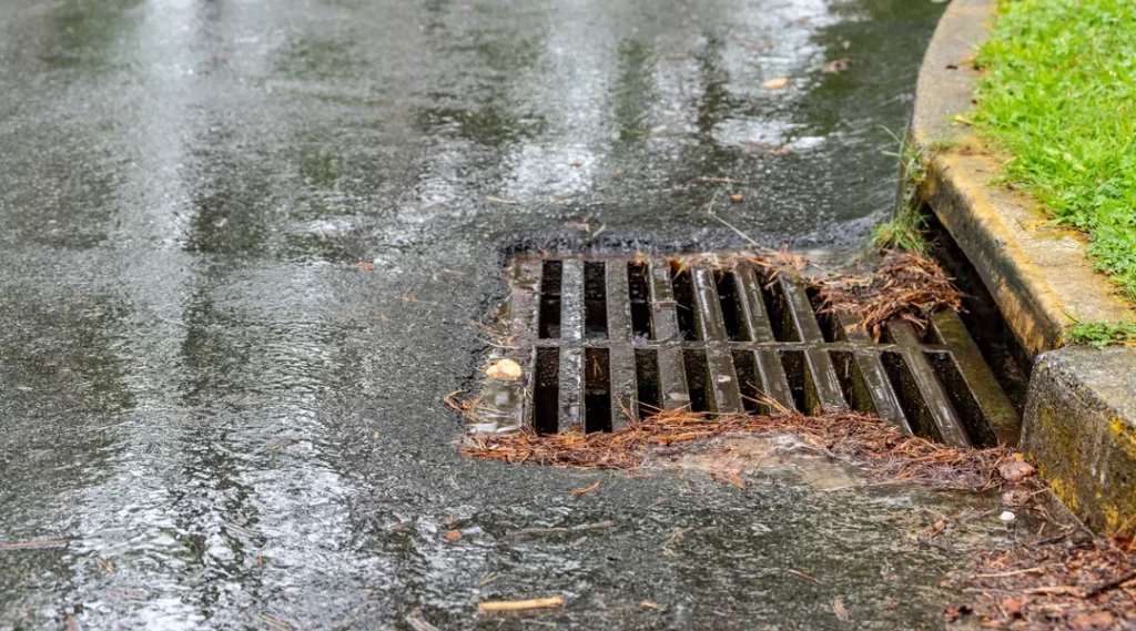 maintain-catch-basin-clog-pro