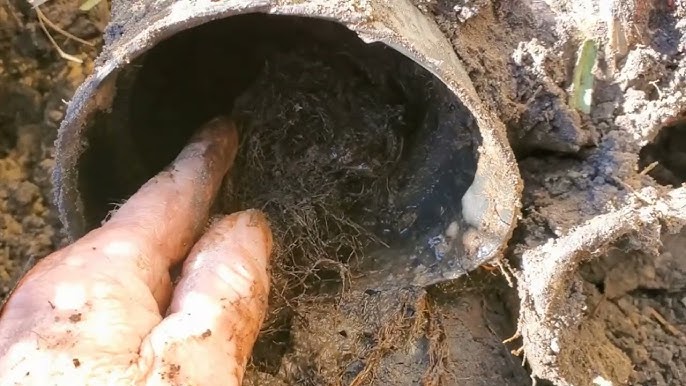 french drain service