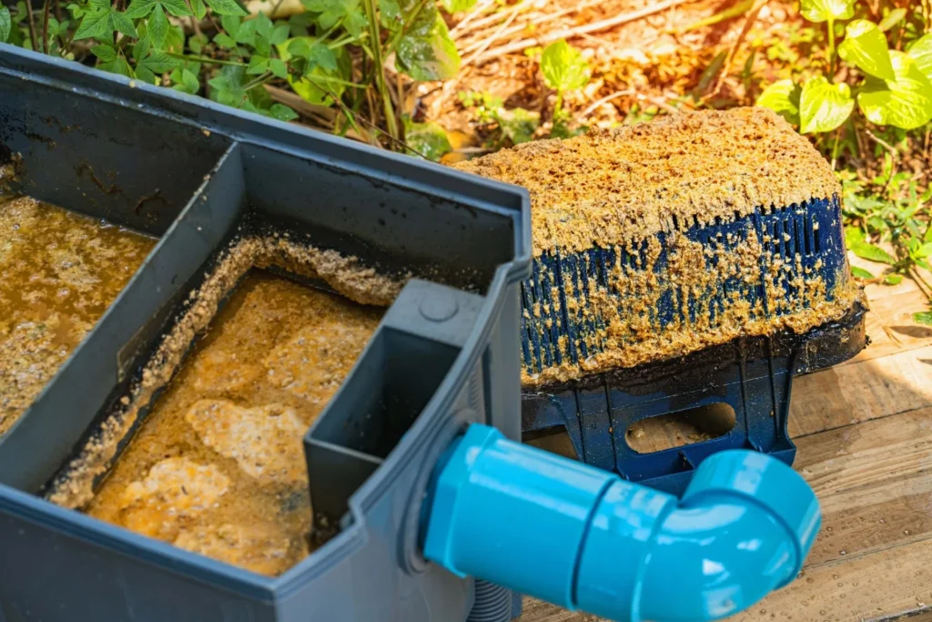 How Often Should Grease Traps Be Cleaned?
